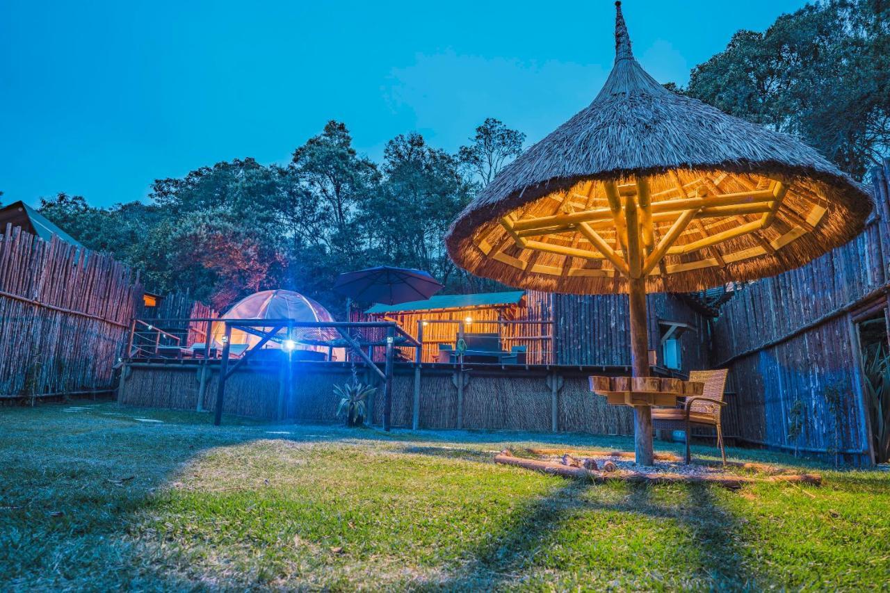 Готель Bubblesky Glamping 15 Min From Medellin Ріонегро Екстер'єр фото
