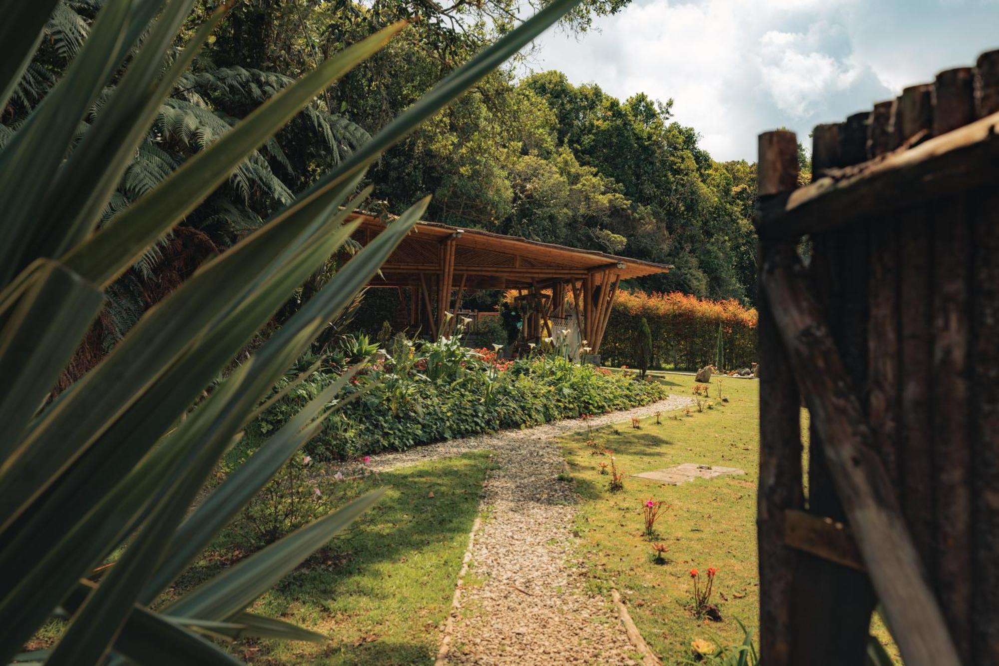 Готель Bubblesky Glamping 15 Min From Medellin Ріонегро Екстер'єр фото