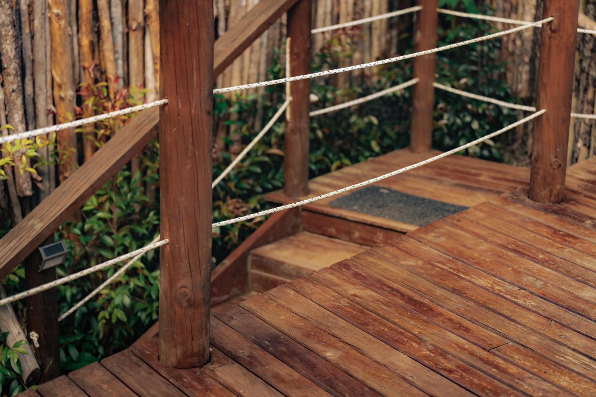 Готель Bubblesky Glamping 15 Min From Medellin Ріонегро Екстер'єр фото