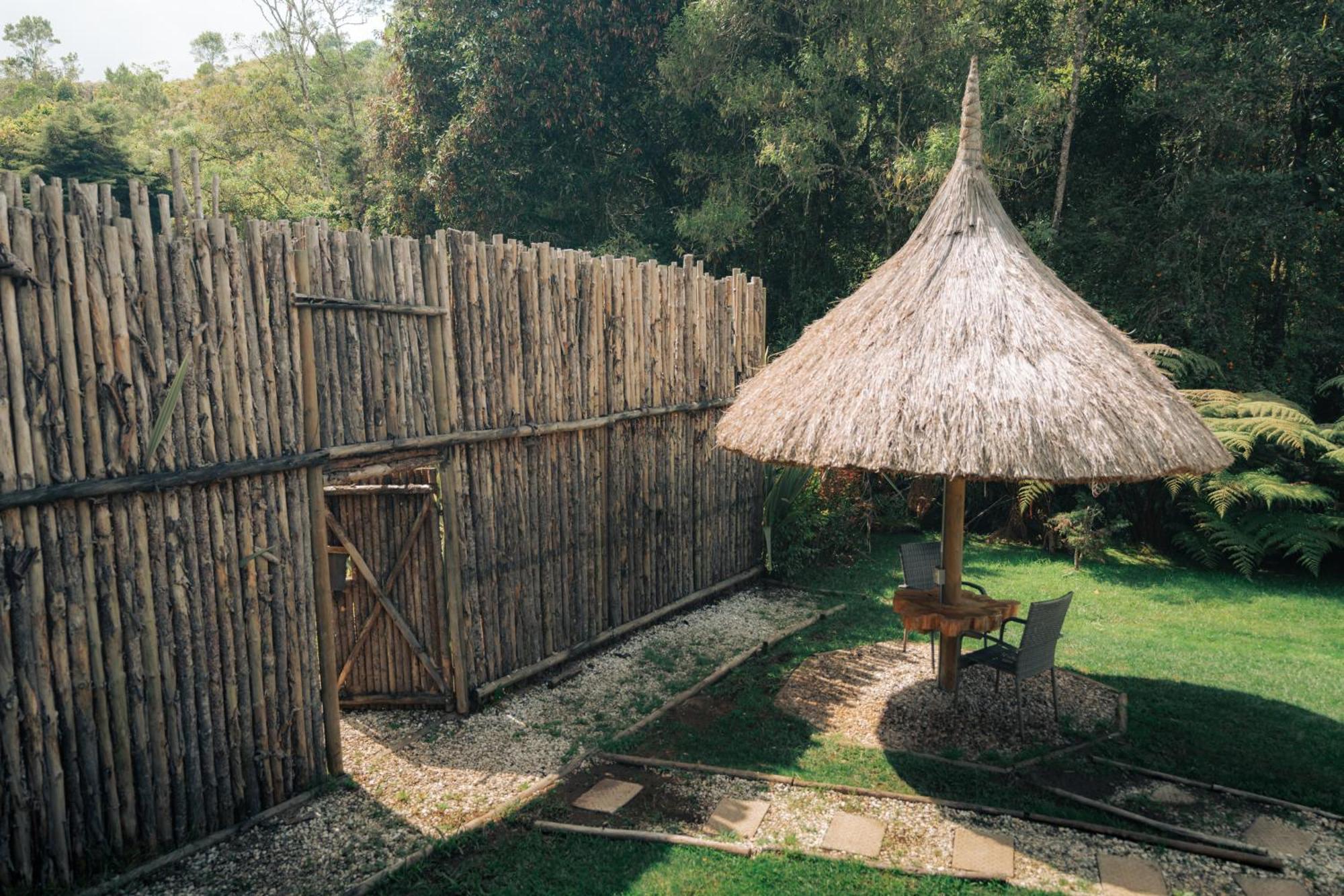 Готель Bubblesky Glamping 15 Min From Medellin Ріонегро Екстер'єр фото