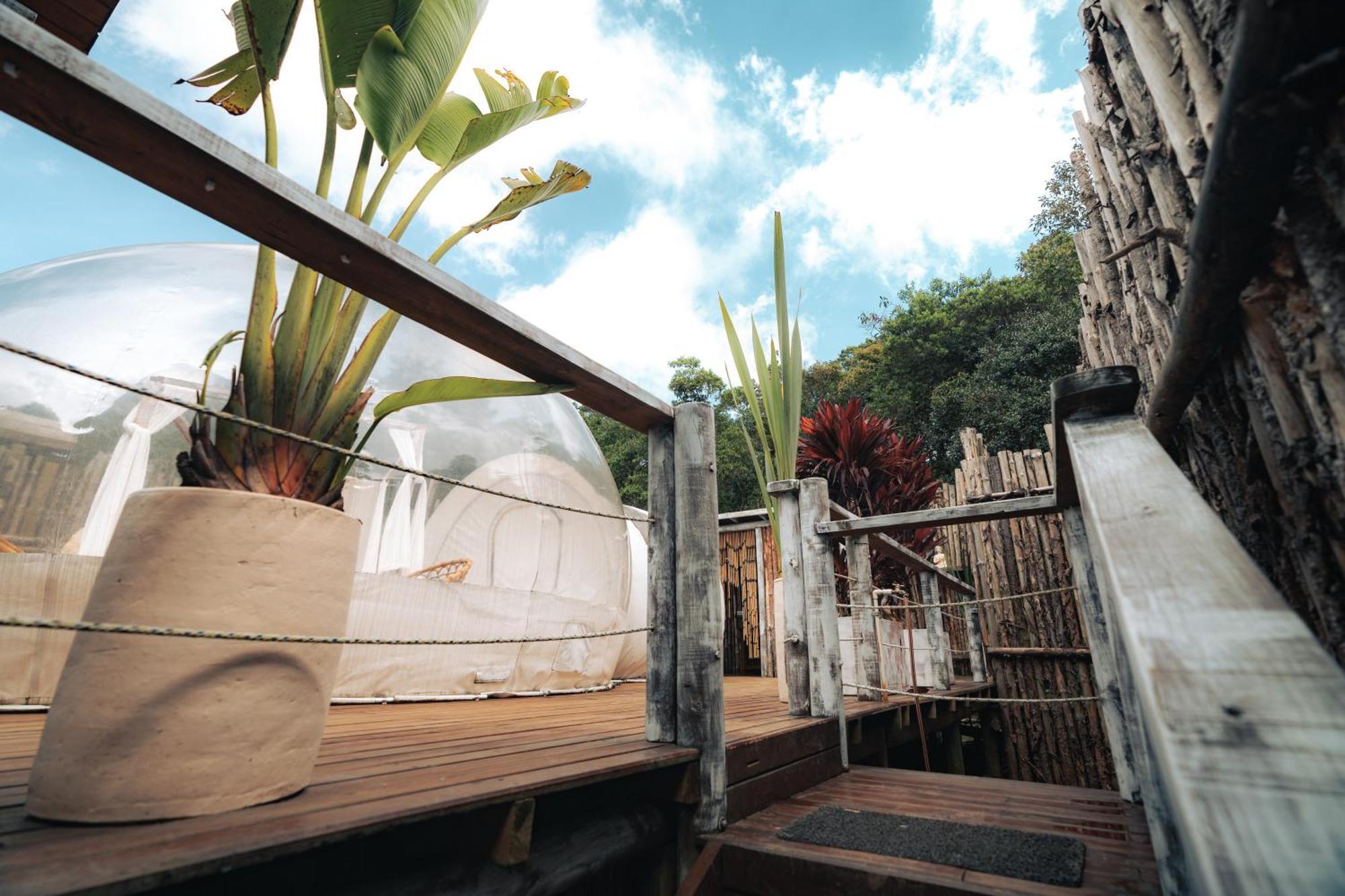 Готель Bubblesky Glamping 15 Min From Medellin Ріонегро Екстер'єр фото