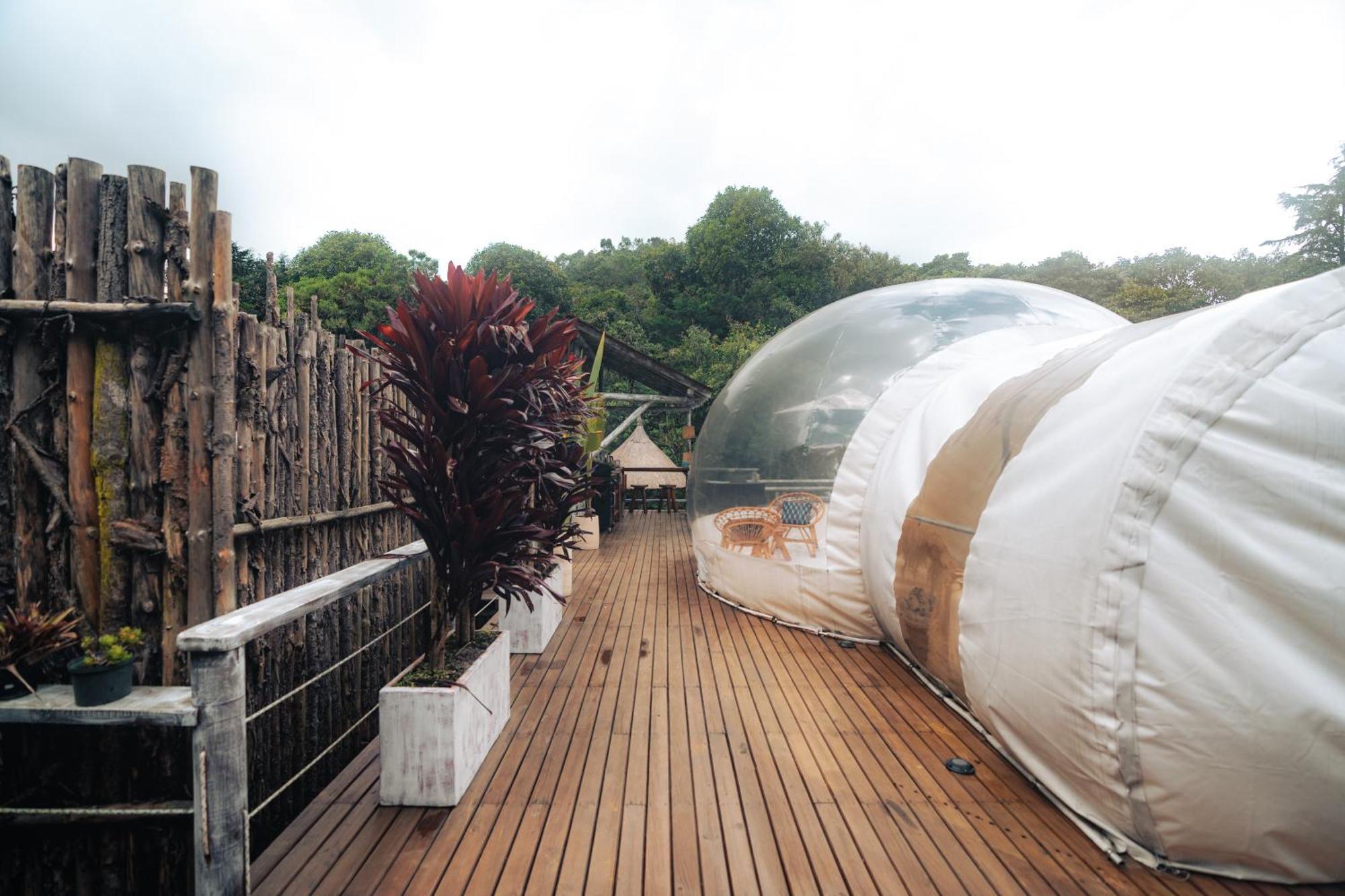 Готель Bubblesky Glamping 15 Min From Medellin Ріонегро Екстер'єр фото