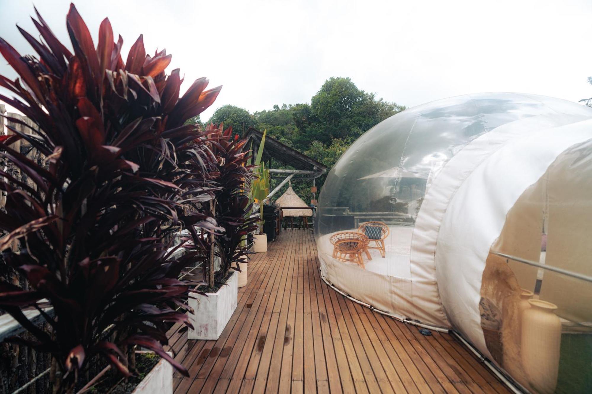 Готель Bubblesky Glamping 15 Min From Medellin Ріонегро Екстер'єр фото